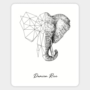 Elephant: Inspired T-shirt Design referencing Damien Rice's Song Magnet